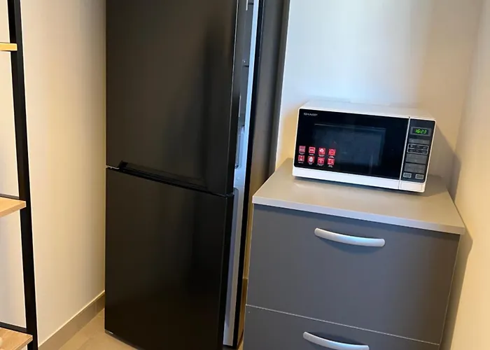 Grand T2 Classe 3 Etoiles Dans De Standing *