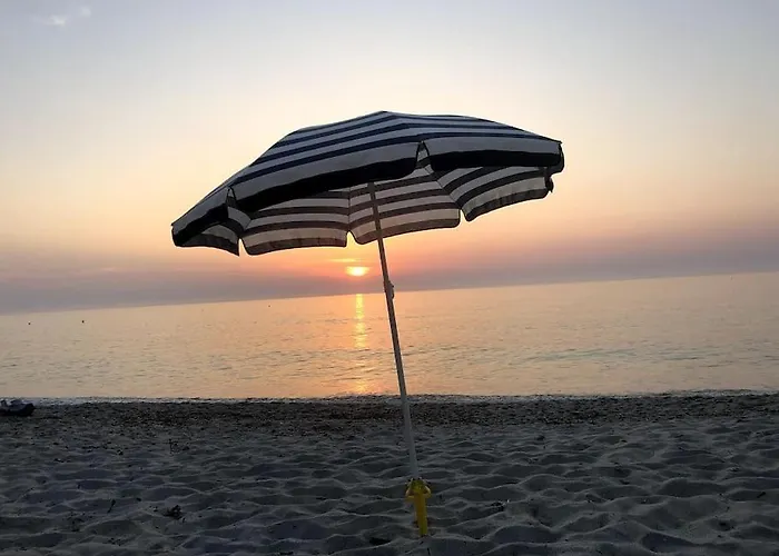 Grand T2 Classe 3 Etoiles Dans De Standing *