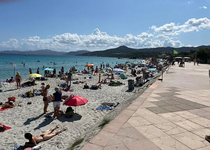 Grand T2 Classe 3 Etoiles Dans De Standing *